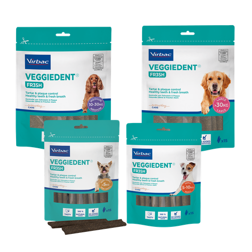 VeggieDent FR3SH - Multi pack