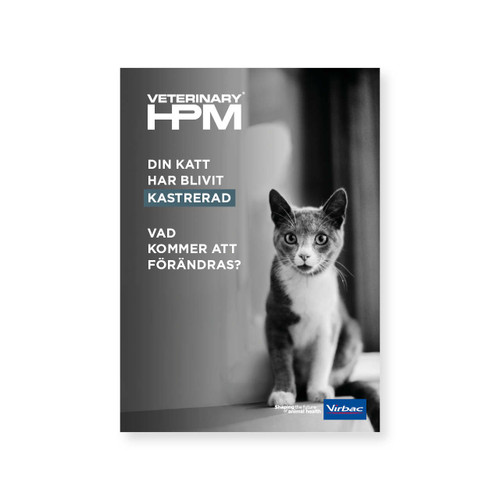 HPM - Din katt har blivit kastrerad- A5 kundbroschyr