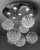 modern raindrop crystal chandelier ceiling light, modern raindrop 6 sphere crystal chandelier ceiling light fixture MC 10177 for living room dining room bedroom foyer free shipping across Canada Montreal Quebec