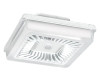 RAB Lighting - PRT42NW/D10/WS