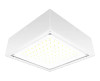 RAB Lighting - VANLED40NFW