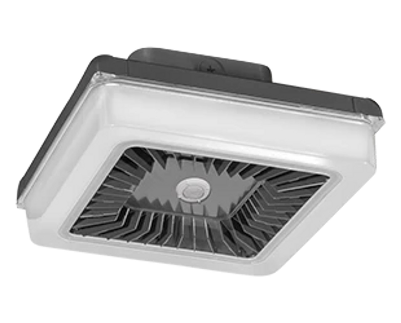 RAB Lighting - PRT30/D10/WS