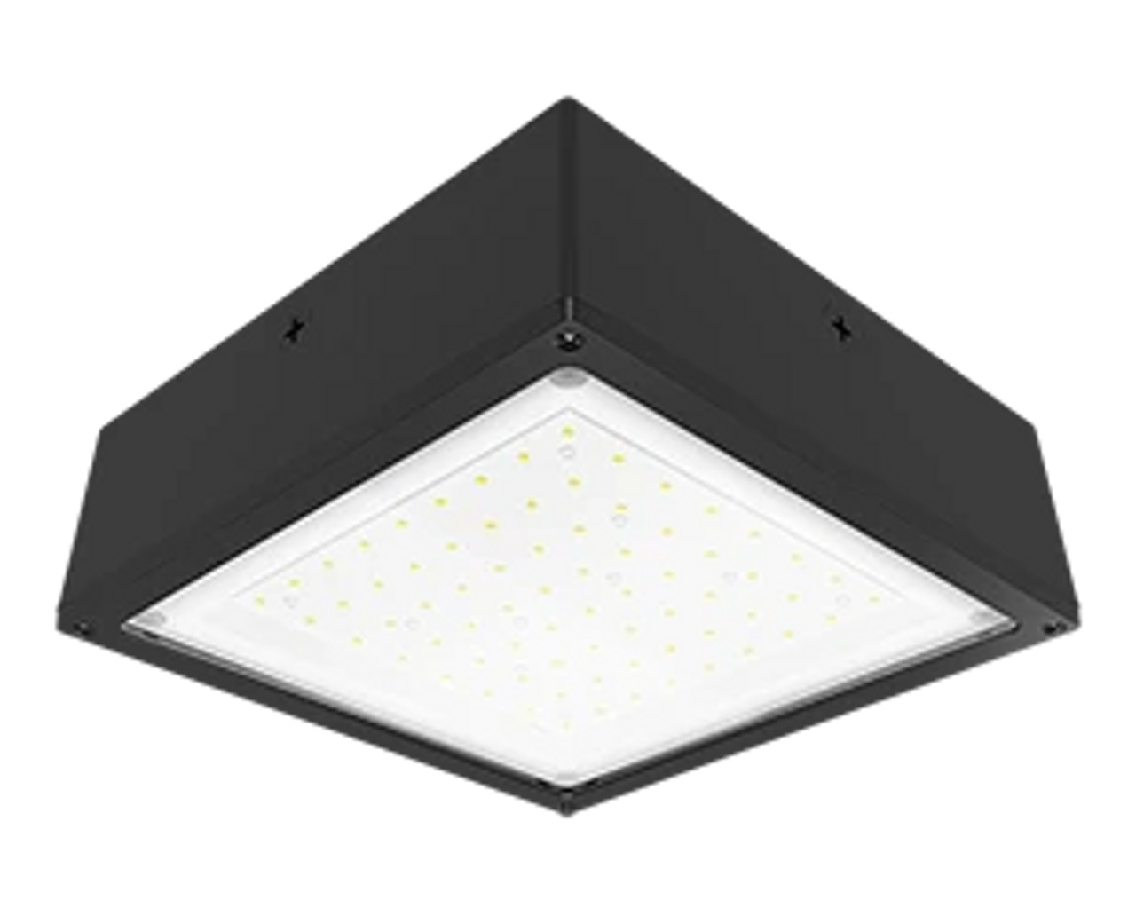 RAB Lighting - VANLED40NF