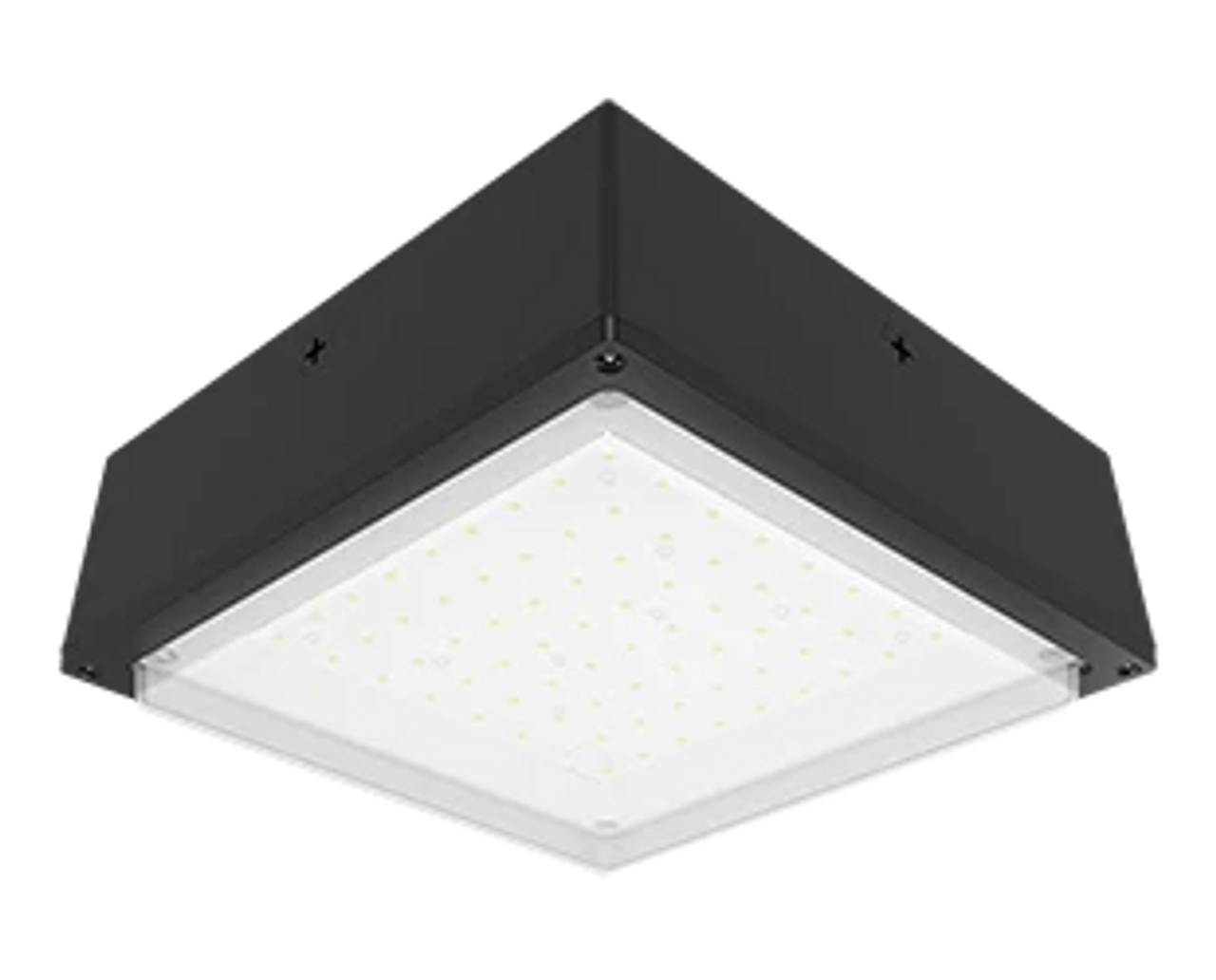 RAB Lighting - VANLED20NFR