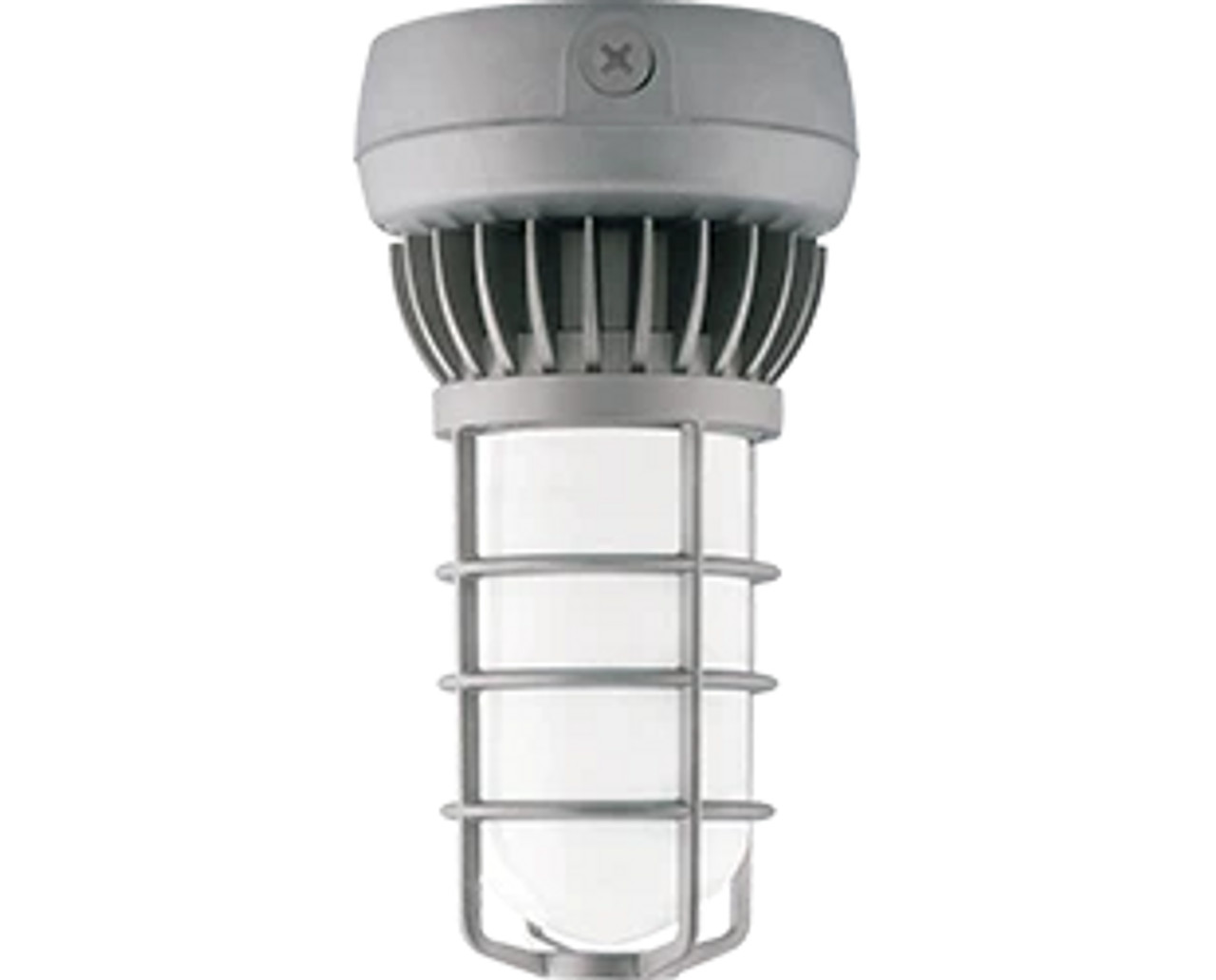 RAB Lighting - VXLED26NDG