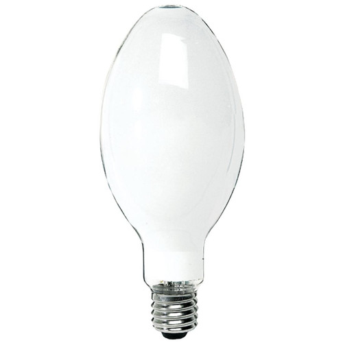 15T7N Incandescent Lamp