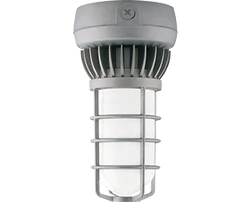 RAB Lighting - VXLED26DG