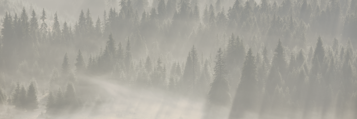 Woods Background