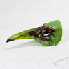 Raven Skull Bird Nose Alien Masquerade Mask - Green