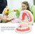 [通拓商品]Standard Tooth Teaching Giant Dental Dentist Teeth Model Child Kidtraining Model Disease Teeth Medical Educational Model