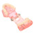 Dental Disease Removable Study Teaching Teeth Implant Education Model (Pink)