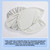 Sun Shade Roof for Model Y Foldable Heat Insulation Roof for Model 3 Panoramic Window Sunshades Accessories