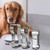 3 Piece Stainless Steel Cutters Dog Bone Biscuit Cutter Set DIY Baking Tools