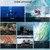 5MM Diving Gloves Warm Anti-scratch UPF 50+ UV Protection Cold Anti-slip and Wear-resistant for Winter Water   Activities
