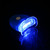 Professional Teeth Whitening Light Gums Whitener Agent Denture Kit Dental Care