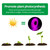 LED Grow Light Full Spectrum USB Grow Light Strip 2M 2835 SMD DC5V LED Phyto Tape for Seed Plants Flowers Greenhouses Indoor Vegetable Flower Seedling Fitolampy