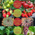 LED Grow Light Full Spectrum USB Grow Light Strip 2M 2835 SMD DC5V LED Phyto Tape for Seed Plants Flowers Greenhouses Indoor Vegetable Flower Seedling Fitolampy