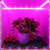 LED Grow Light Full Spectrum USB Grow Light Strip 2M 2835 SMD DC5V LED Phyto Tape for Seed Plants Flowers Greenhouses Indoor Vegetable Flower Seedling Fitolampy