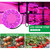 LED Grow Light Full Spectrum USB Grow Light Strip 2M 2835 SMD DC5V LED Phyto Tape for Seed Plants Flowers Greenhouses Indoor Vegetable Flower Seedling Fitolampy