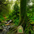 Fairy Door for Trees Miniature Fairy Garden Outdoor Decor Accessories Yard Art Sculpture Decoration for Kids Room Wall Trees