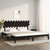 vidaXL Bed Frame without Mattress Black 200x200 cm Solid Wood