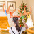 Inflatable Reindeer Antler Ring Toss Game Interactive Christmas Party Games for Adults Kids Reindeer Ring Toss Hat with 4 Rings(Rings Random Color Delivery)