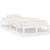 vidaXL Bed Frame without Mattress White 90x190 cm Single Single Solid Wood