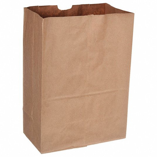 AJM #57 Natural Kraft Bag - No Handle 1/6 BBL - 500/Case