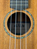 Kala James Hill Signature All Solid Mahogany Concert Ukulele (w/ EQ & Bag)