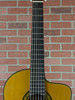 Takamine TH5C Pro Series Classical Nylon String Acoustic-Electric Guitar - Gloss Natural