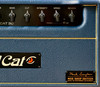 Bad Cat MOD Shop Custom Black Cat | 30-watt Electric Guitar Amp Head | Custom Navy Bronco Tolex w/ Gold Piping