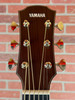 Yamaha AC5M ARE Concert Cutaway Acoustic-electric Guitar - Vintage Natural