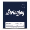Stringjoy Signature Nickel Roundwound 5-String Electric Bass Guitar Strings - Light, Long Scale - .045-.130