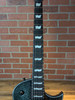 ESP LTD EC-1000 Electric Guitar - Granite Sparkle