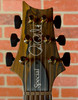 PRS Special Semi-hollow Mango Top Limited Edition Electric Guitar - Charcoal Purple Burst