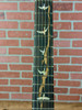 PRS Paul's Guitar Mango Top Limited Edition Electric Guitar - Tiger Eye