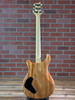 PRS Ed Sheeran Hollowbody I Piezo Baritone Electric Guitar - Kaleidoscope
