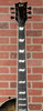 ESP LTD EC-400 QM Electric Guitar - See Thru Black