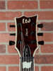 ESP LTD EC-1000 Deluxe Electric Guitar - See Thru Black Cherry