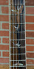 PRS McCarty Wood Library 10-Top Electric Guitar - Custom Charcoal with Emerald Burst & Stained Neck