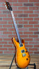 PRS Custom 24 "Birds of a Feather" Limited Edition Electric Guitar - Private Stock Honey Gold (Light Tobacco Microburst/Natural Binding)