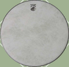 Deering Banjo Company Fiberskyn Banjo Head - 11" High Crown