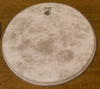 Deering Banjo Company Fiberskyn Banjo Head - 12" Low Crown (Vega)