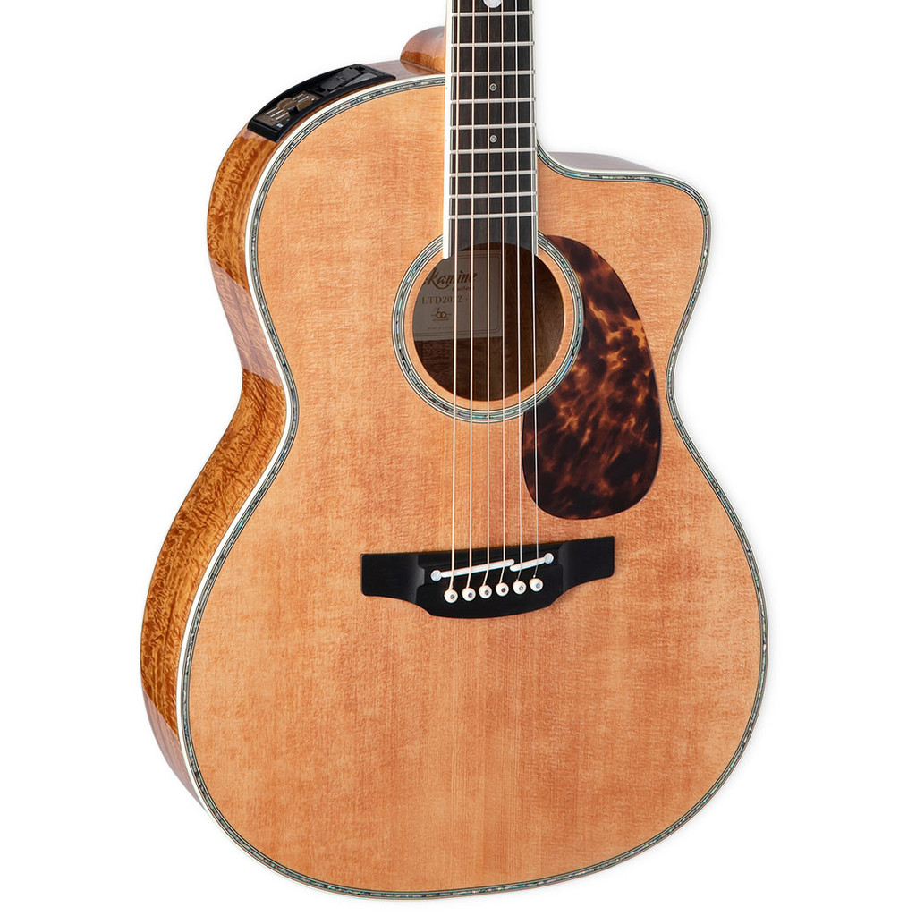 Takamine LTD2022 Limited Edition Acoustic Electric Guitar