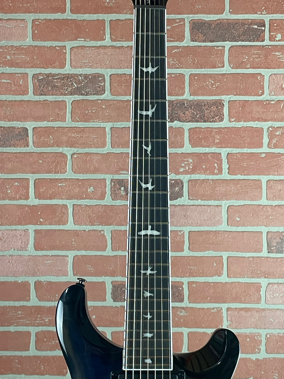 Shop PRS SE Mark Holcomb SVN 7-String Electric Guitar | No