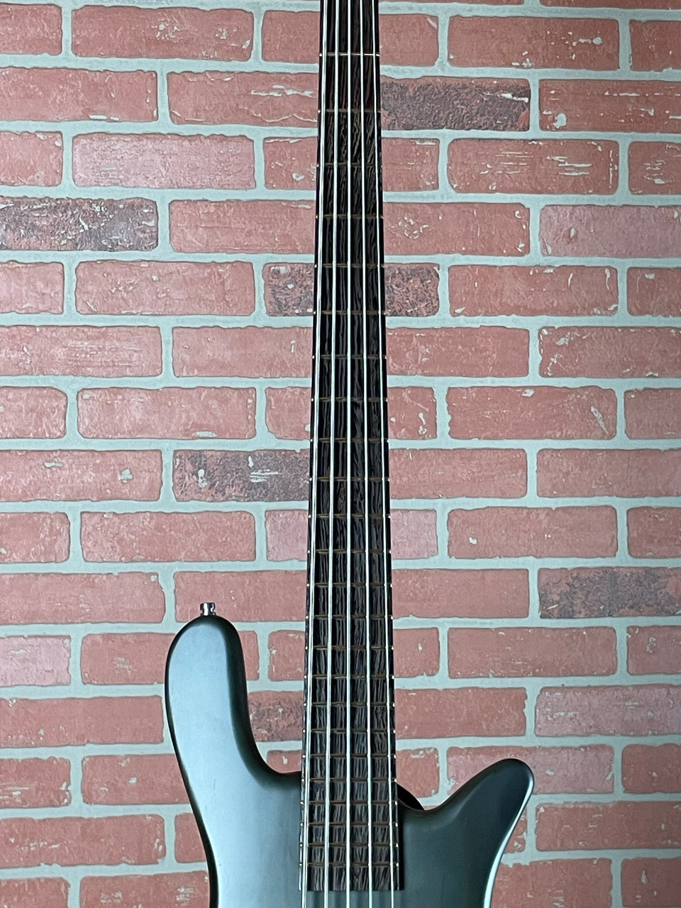 Warwick RockBass Streamer Standard 5-string Electric Bass Guitar