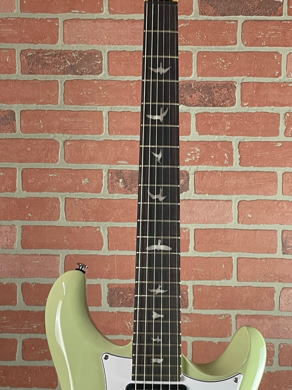 Shop PRS SE Studio Standard Electric Guitar - Sage Green | No