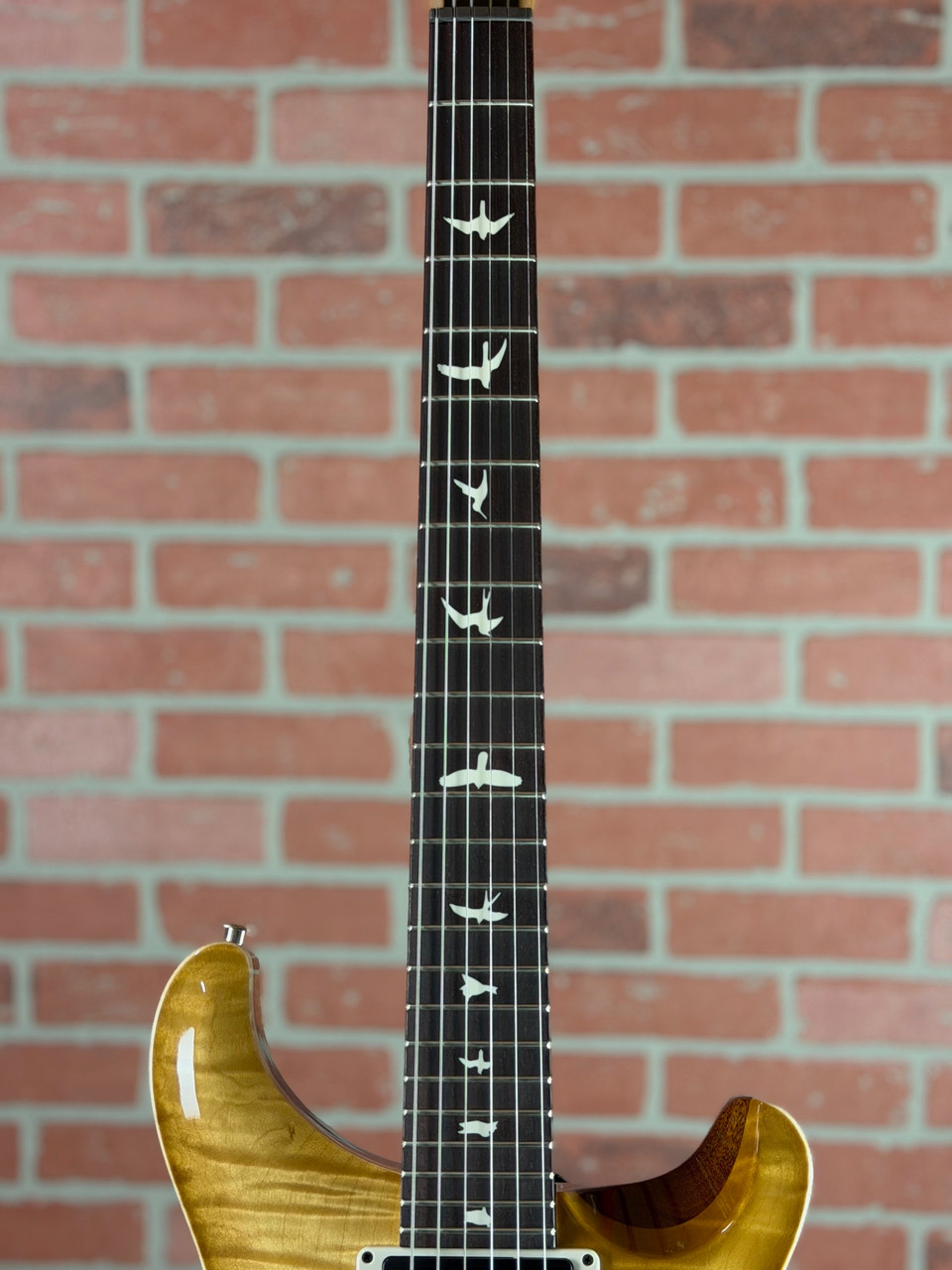 ギター PRS CE24 maple Shop PRS CE 24 Electric Guitar - Flamed Maple Top | No Limit Guitar Co