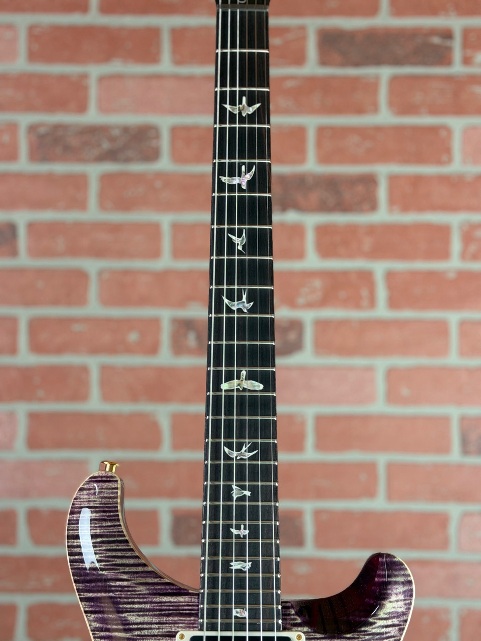 Shop PRS Custom 24 10-Top Purple Mist - Sprayer's Choice | No