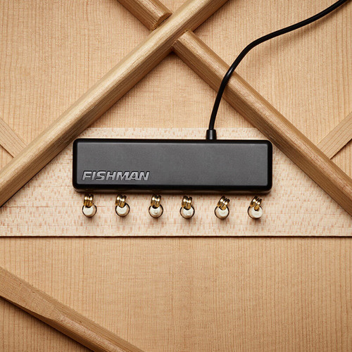 Fishman PowerTap Earth Acoustic Percussive Pickup System | Body Sensor & Soundhole Pickup
